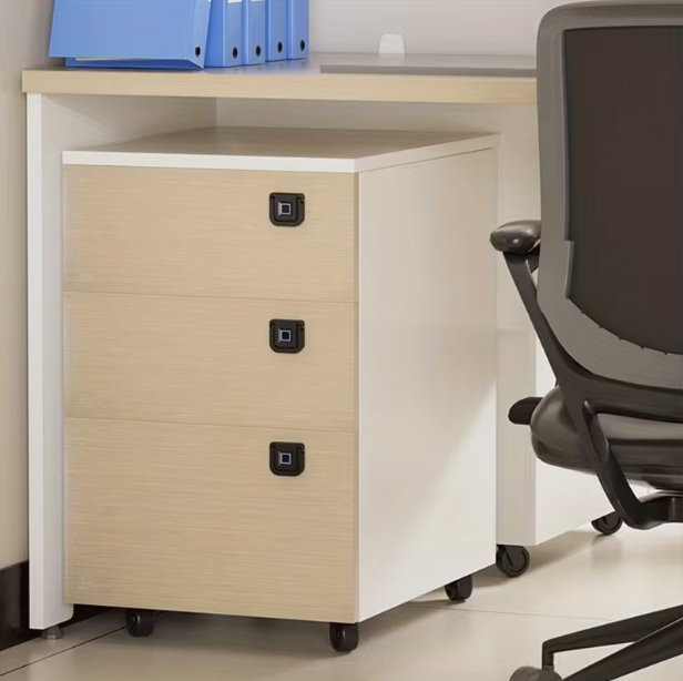SecureNest CabinetGuard™